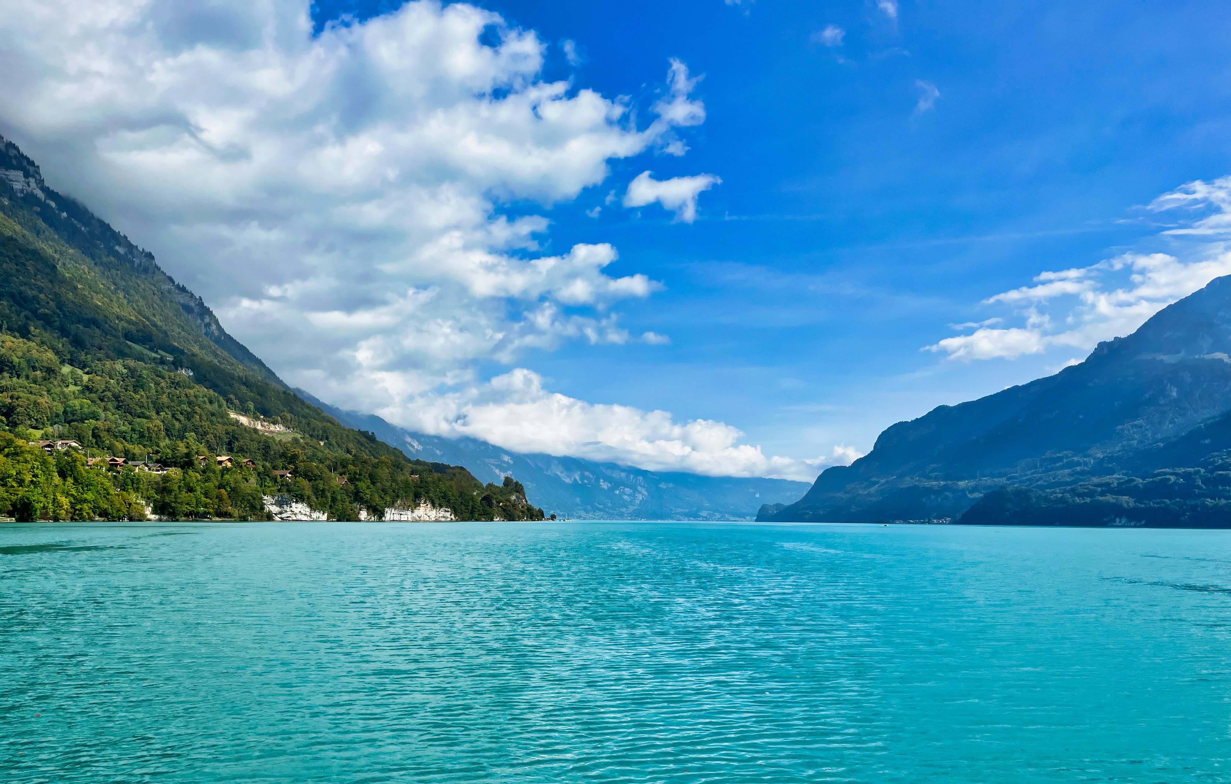 Photo by shiv_saxena