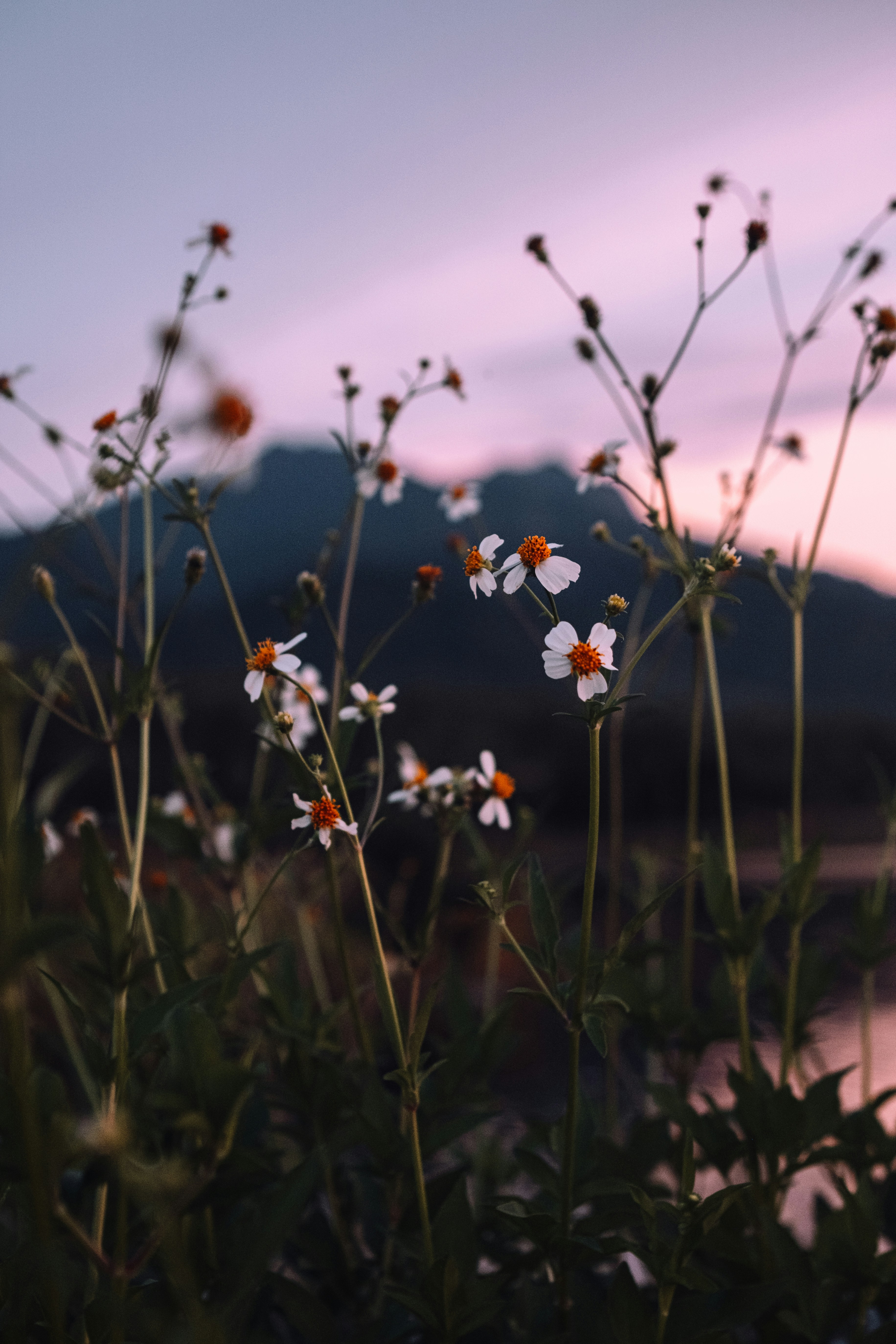 Photo by dagerotip