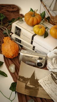 An arrangement featuring a stack of classic books including works by Victor Hugo and Thomas More, topped with small pumpkins and decorative leaves. A vintage camera sits nearby beside an old sepia-toned photograph of a sailboat and seashells on a piece of brown fabric.