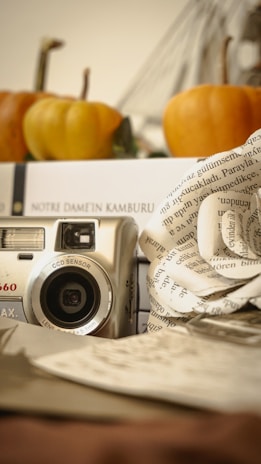 A vintage-inspired collage featuring a camera, paintbrushes, and handwritten poetry pages.