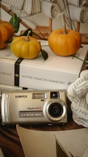 A digital camera labeled 'Himpex DigiArt 660' rests on a stack of books. Two small pumpkins are nearby, along with a decorative paper flower made from printed text. The books include titles like 'Notre Dame’in Kamburu' by Hugo.