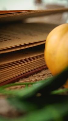 Close-up of a vibrant tropical fruit guidebook opened on a wooden table surrounded by fresh fruits.