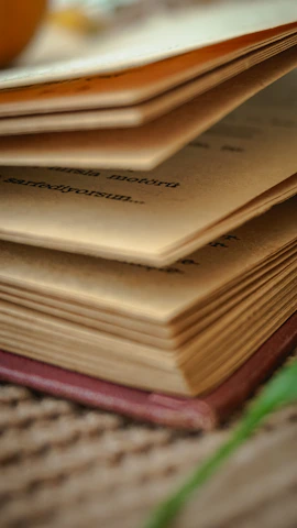 Close-up of an open book showing aged pages with Indonesian colonial era illustrations.