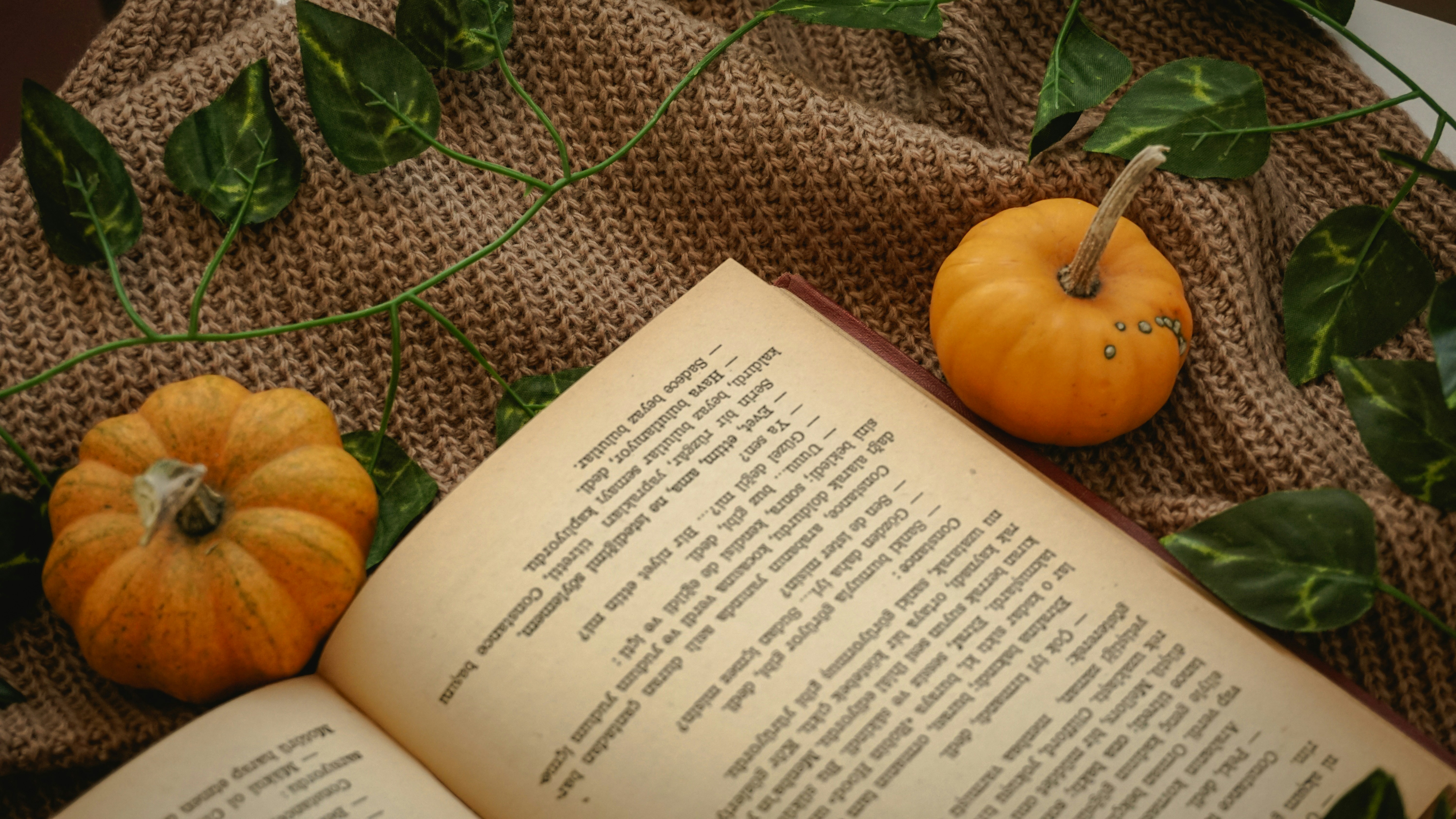 בלוג ומאמרים