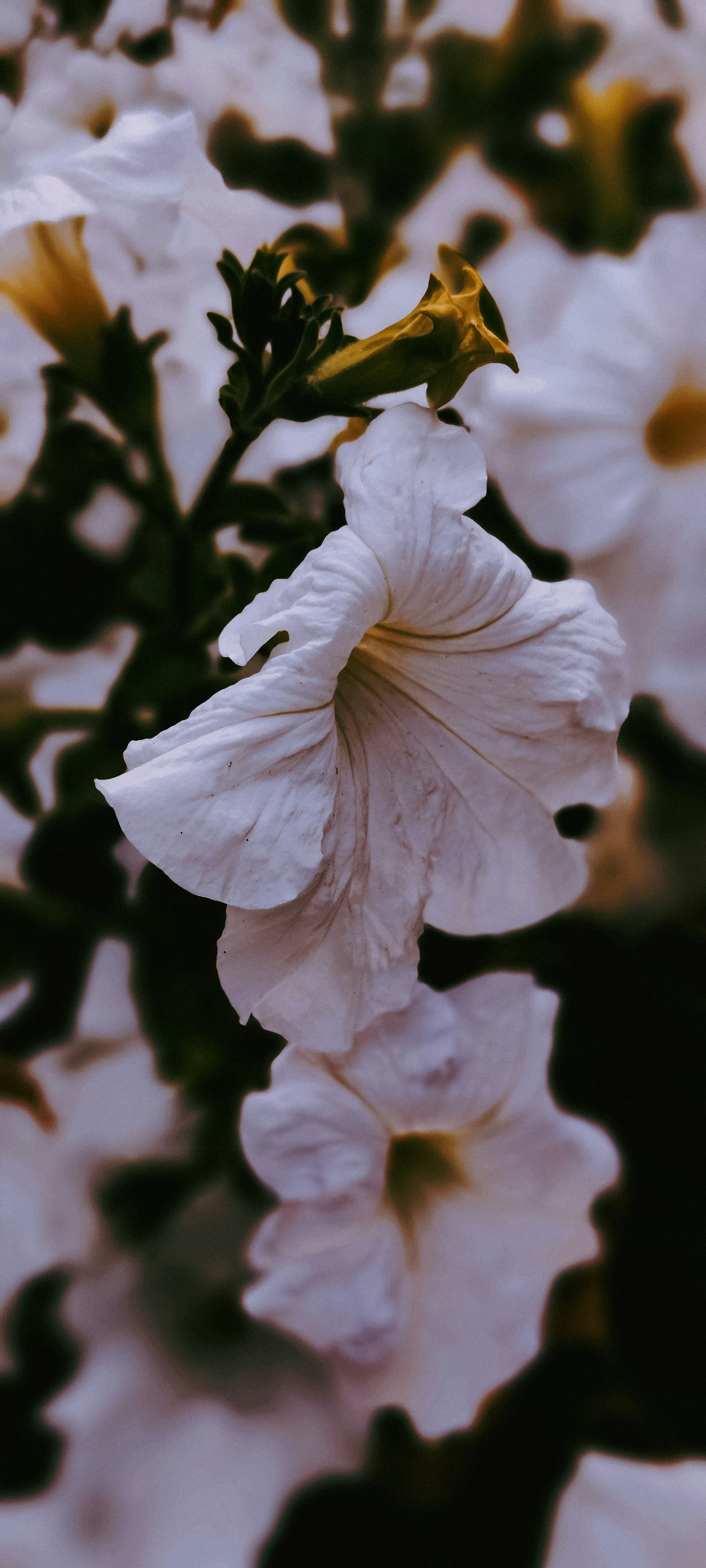 Photo by samanehrasoulzadeh