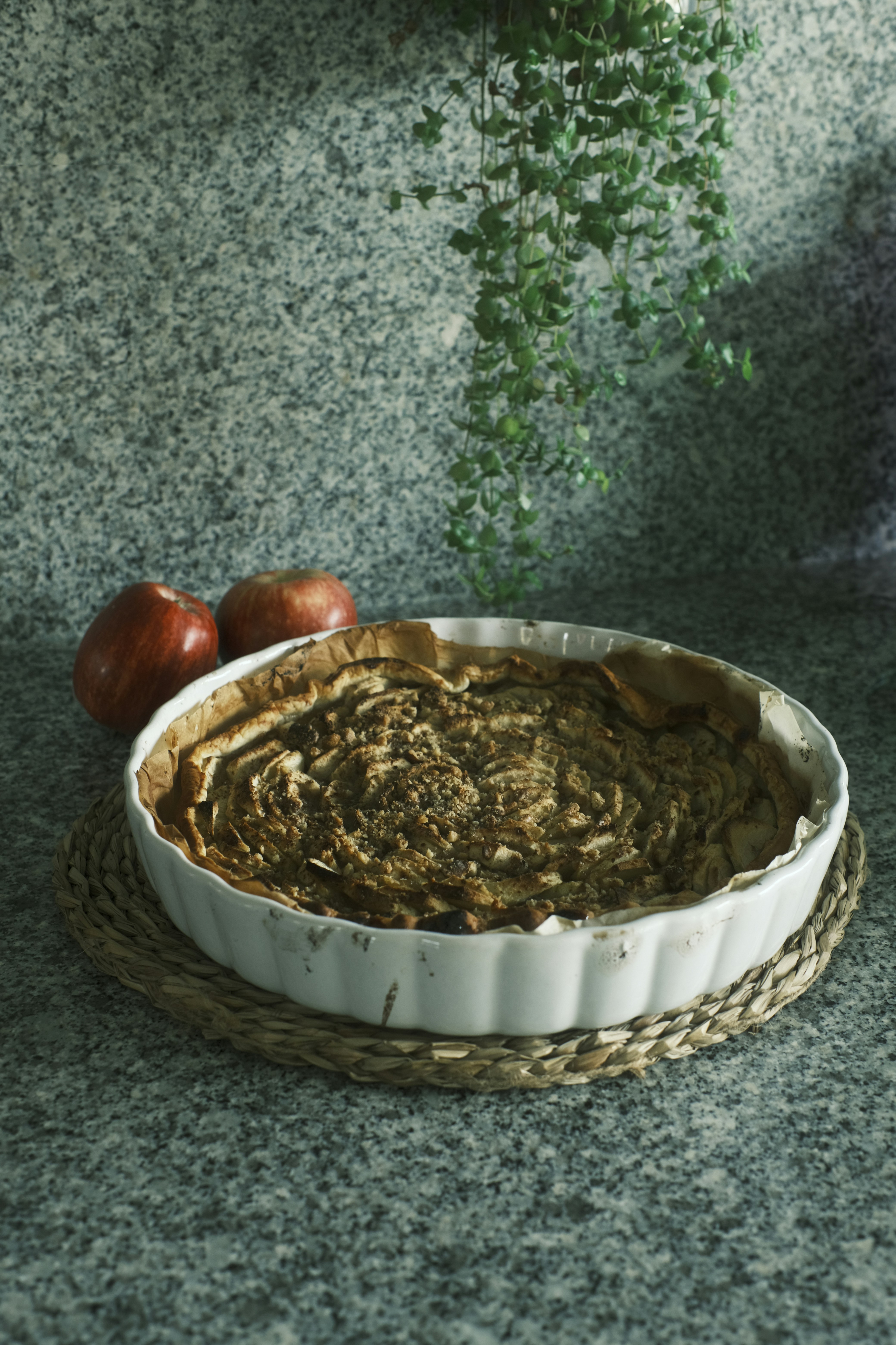 a bowl of food sitting on a counter next to a potted plant