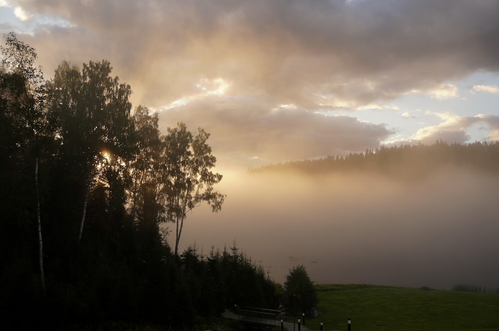 the sun is shining through the clouds over the trees