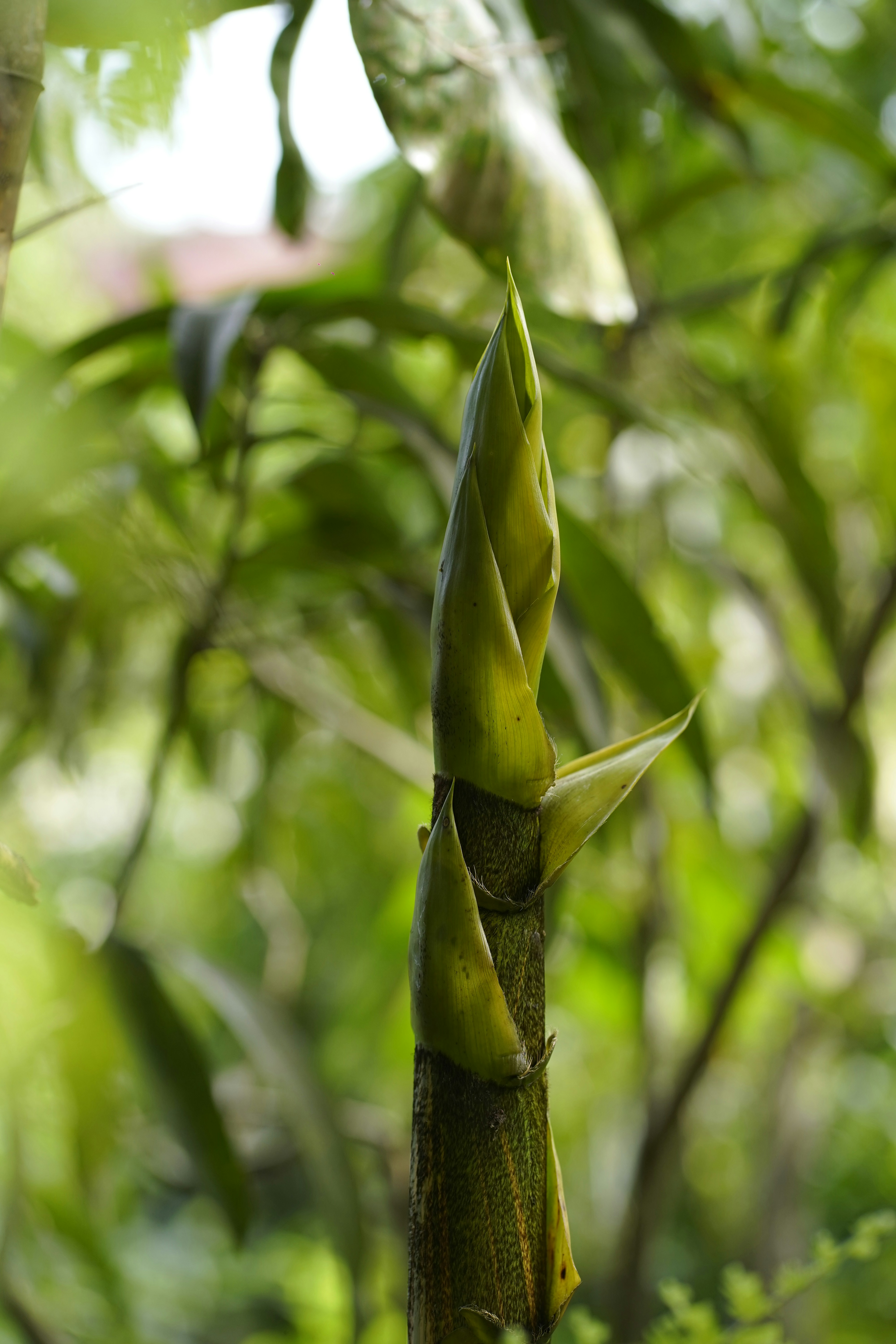 Photo by nandhukumarndd