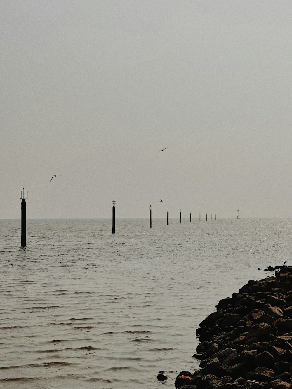 a couple of birds flying over a body of water