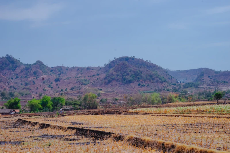 7-Day Itinerary for Barmer: One Full Week Planned Out in Detail