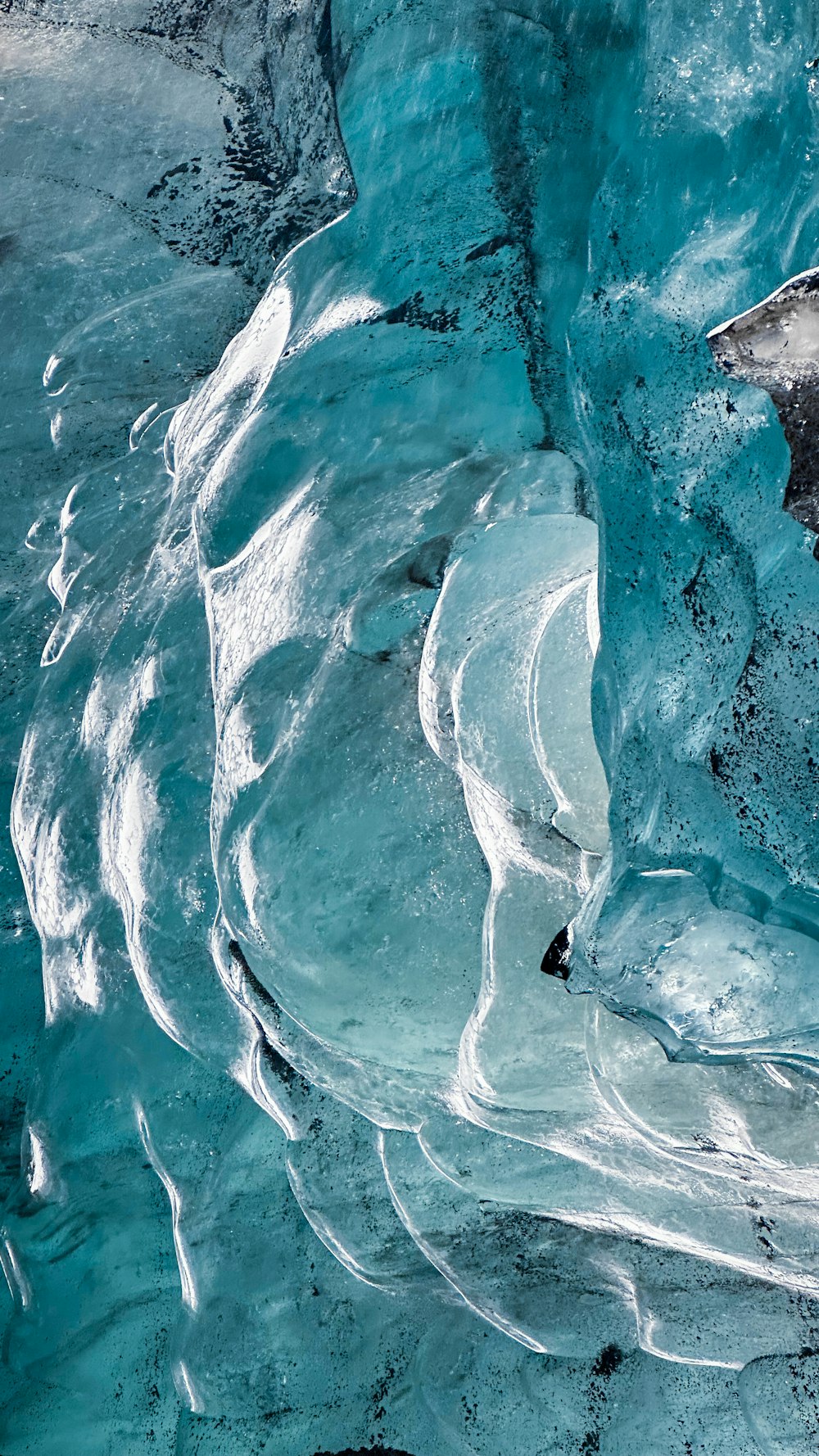 Ein Eisbär schwimmt im Wasser