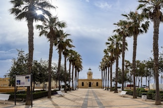 A symmetrical walkway lined with palm trees leads to a small lighthouse building. There are benches and informational signs along the paved path. The scene is set against a cloudy sky with sunlight peeking through the tree branches.