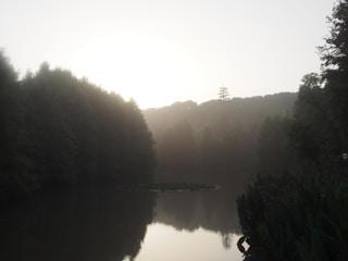 A large tranquil lake surrounded by walking paths and bike tracks under soft morning light.