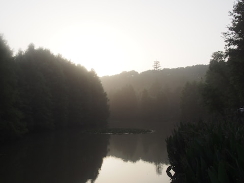 A large tranquil lake surrounded by walking paths and bike tracks under soft morning light.