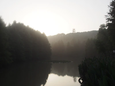 A tranquil nature scene with morning mist over a calm lake surrounded by soft green trees.