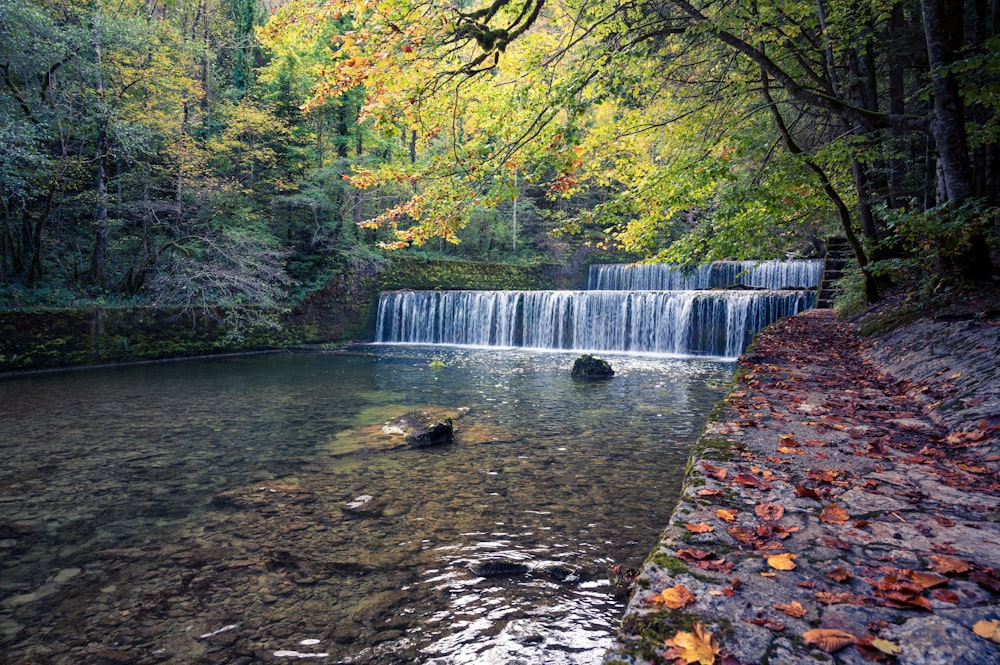 a small waterfall in the middle of a forest