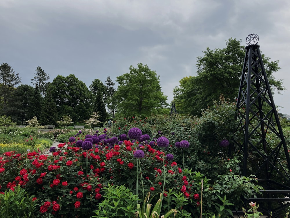 a garden filled with lots of flowers under a cloudy sky