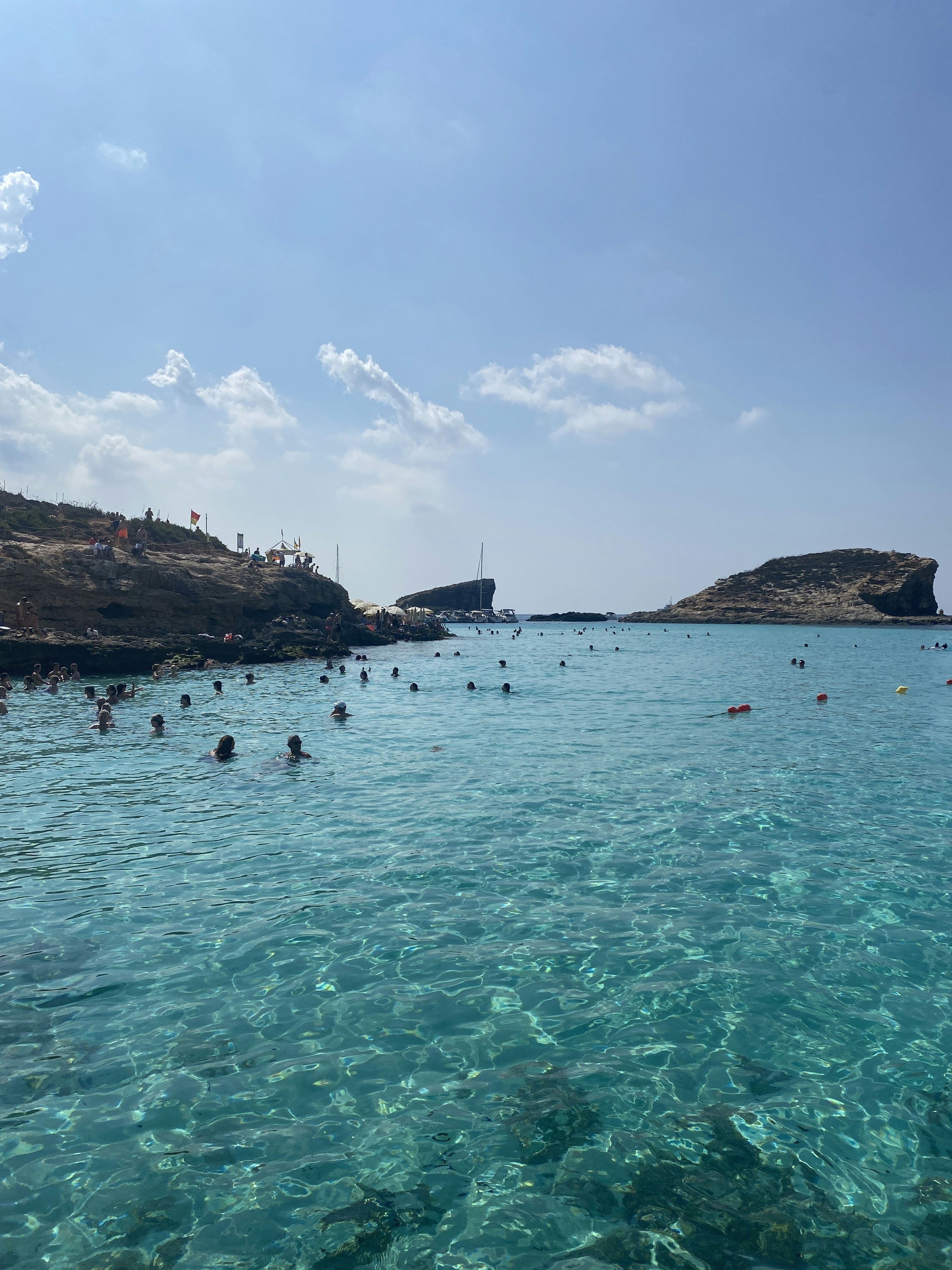 blue crystal wallpaper, wallpaper, Perbedaan Allopurinol dan Colchicine untuk Asam Urat 4