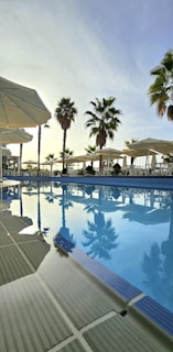 A serene poolside scene at a hotel surrounded by palm trees and blue skies.