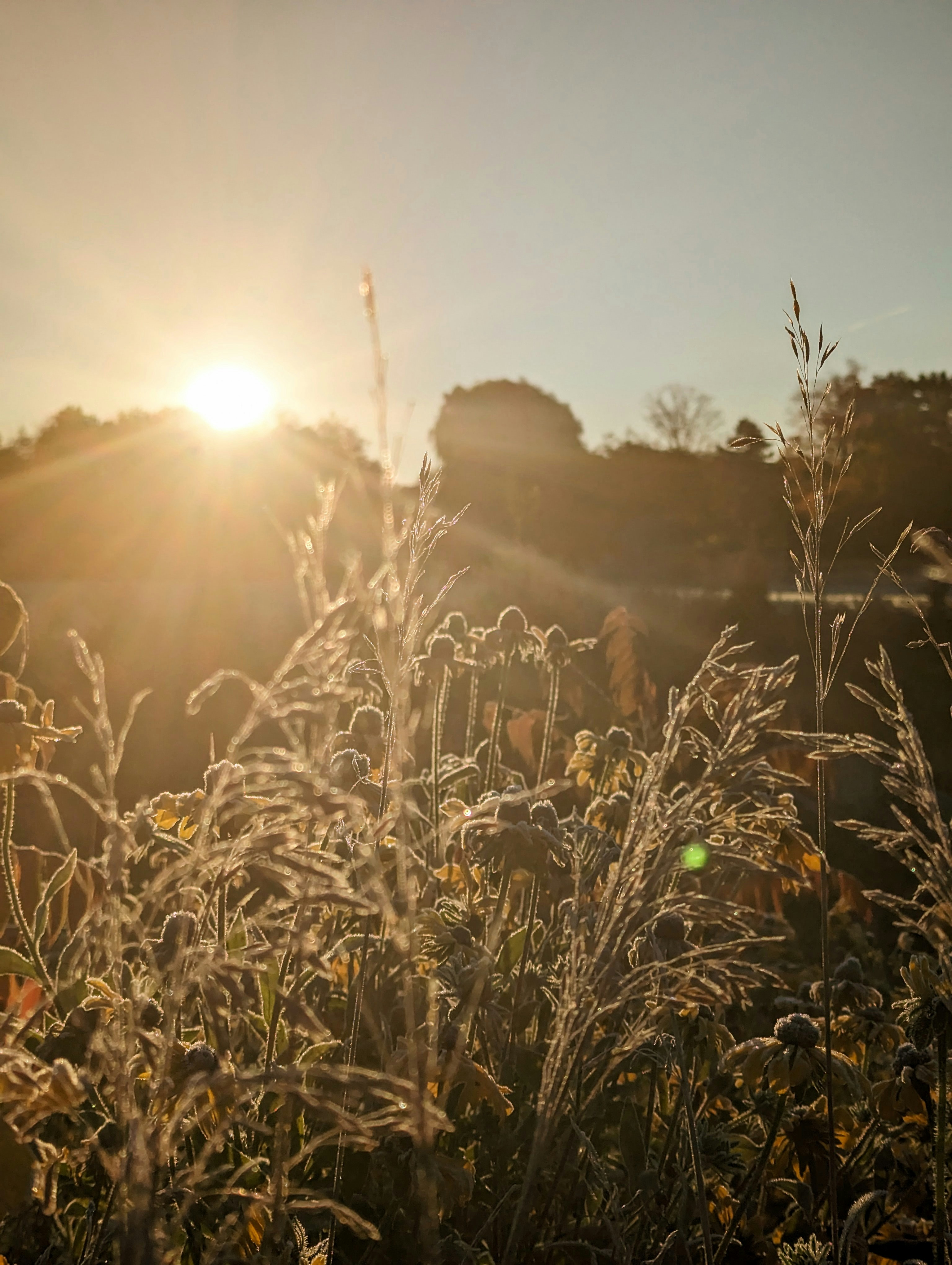 Photo by athulgeorge333