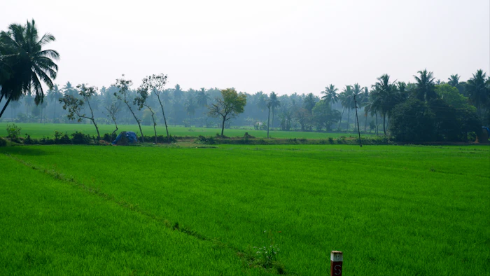 Hotels Near Railway Station