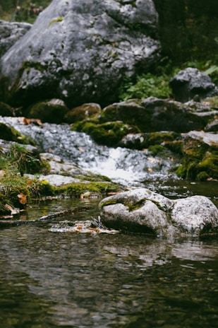 A serene natural setting featuring a small stream flowing over rocks surrounded by moss and vegetation. Large stones are scattered around, with clear water reflecting the lush greenery nearby. The ambient sounds of water create a peaceful atmosphere.