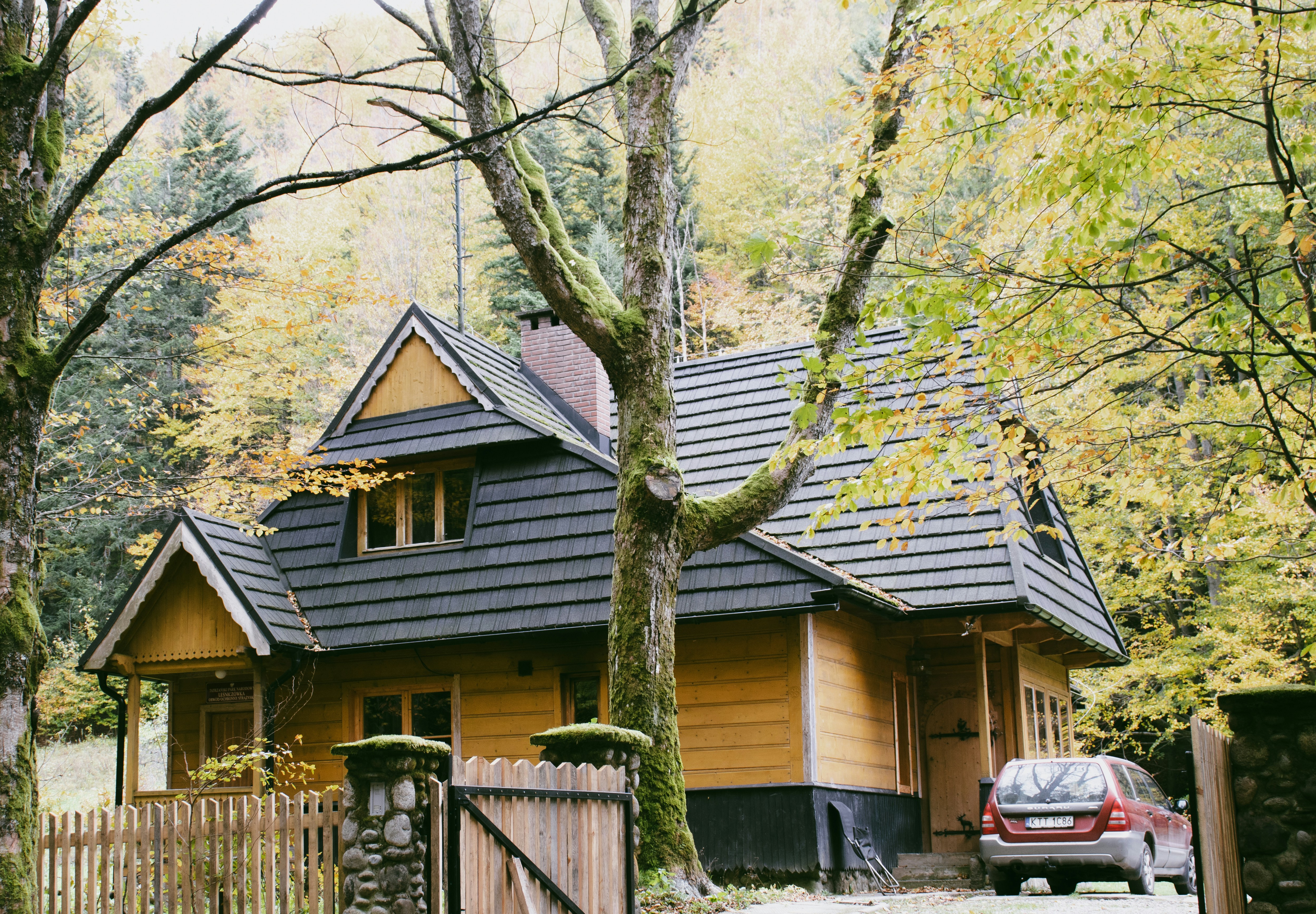 Premium beachfront cottage