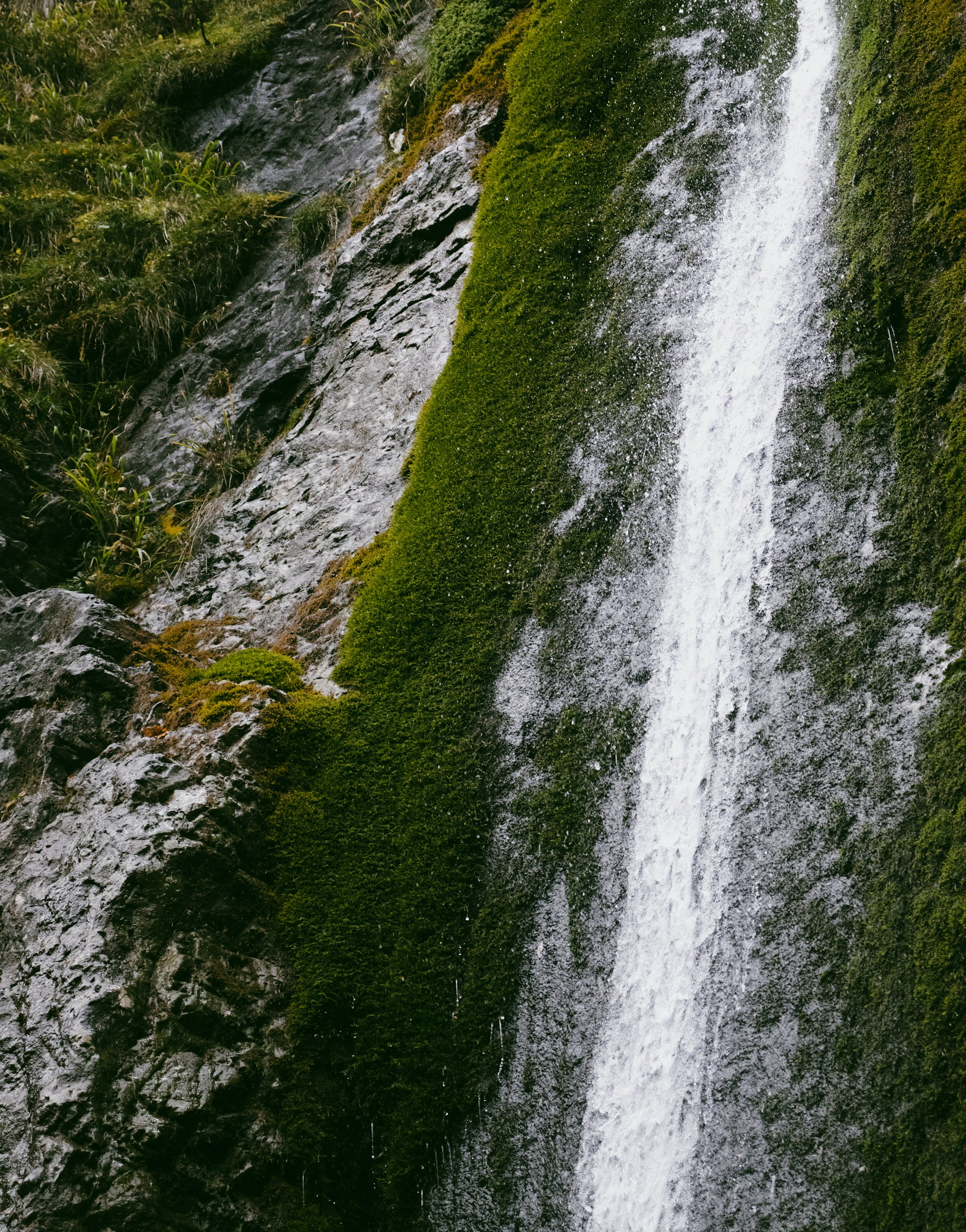 Dolina Białego Stream