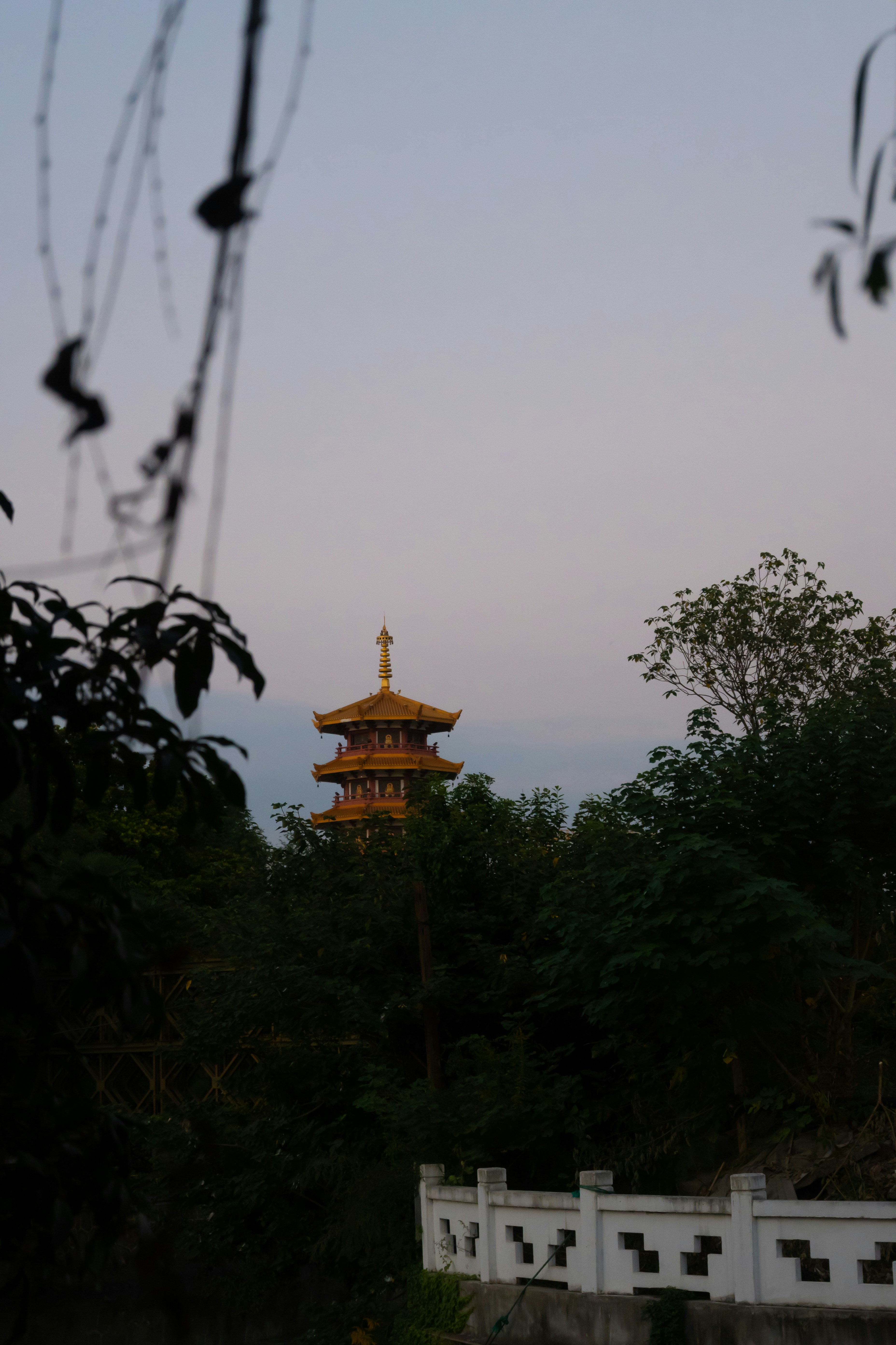 Photo by mocun