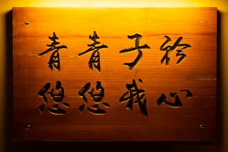 a wooden sign with asian writing on it