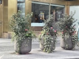 Three large stone planters filled with lush green foliage and small pink flowers are positioned on a sidewalk. Behind them is a building with large glass windows displaying signage and gold-colored framing.