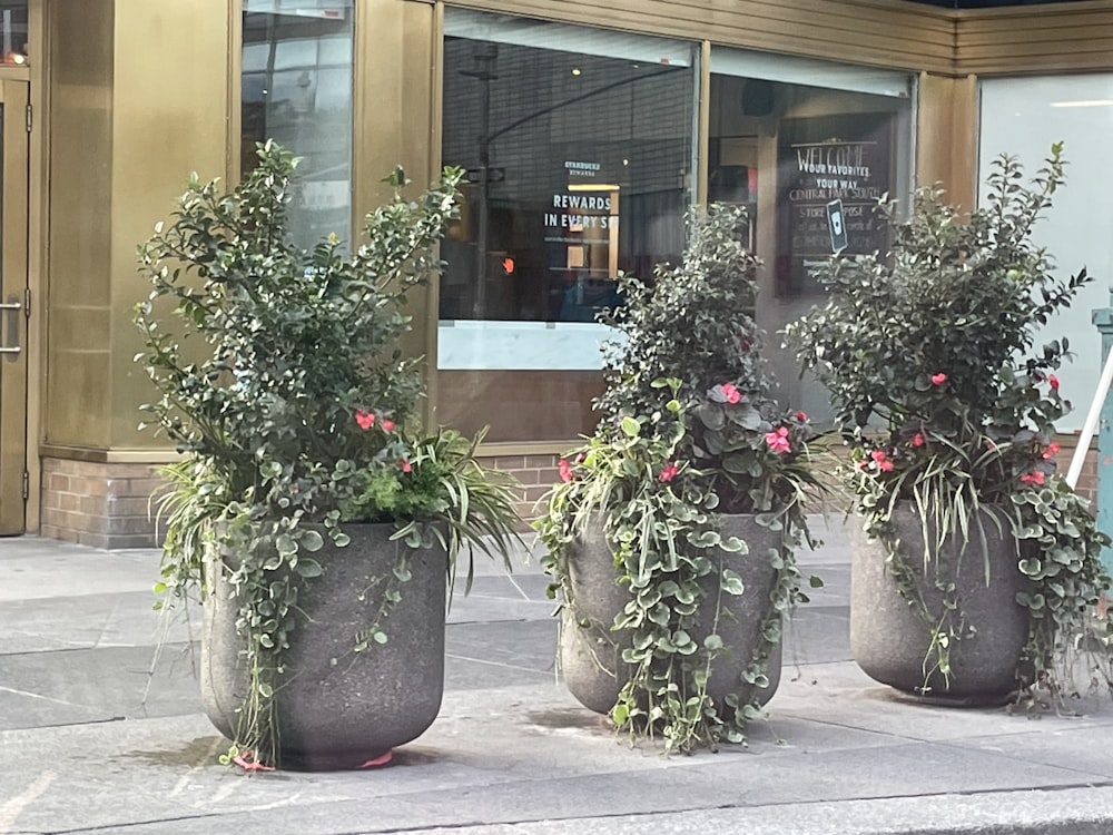 a group of three planters sitting on the side of a street