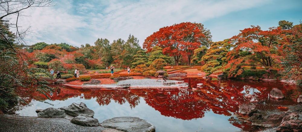 붉은 잎사귀를 가진 나무로 둘러싸인 연못