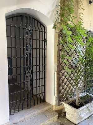 An iron gate with an artistic design stands at the entrance of a narrow passageway. To the right, a white decorative planter contains a lush green plant climbing over a wooden lattice. The surrounding walls are light-colored, adding contrast to the dark gate and green foliage.