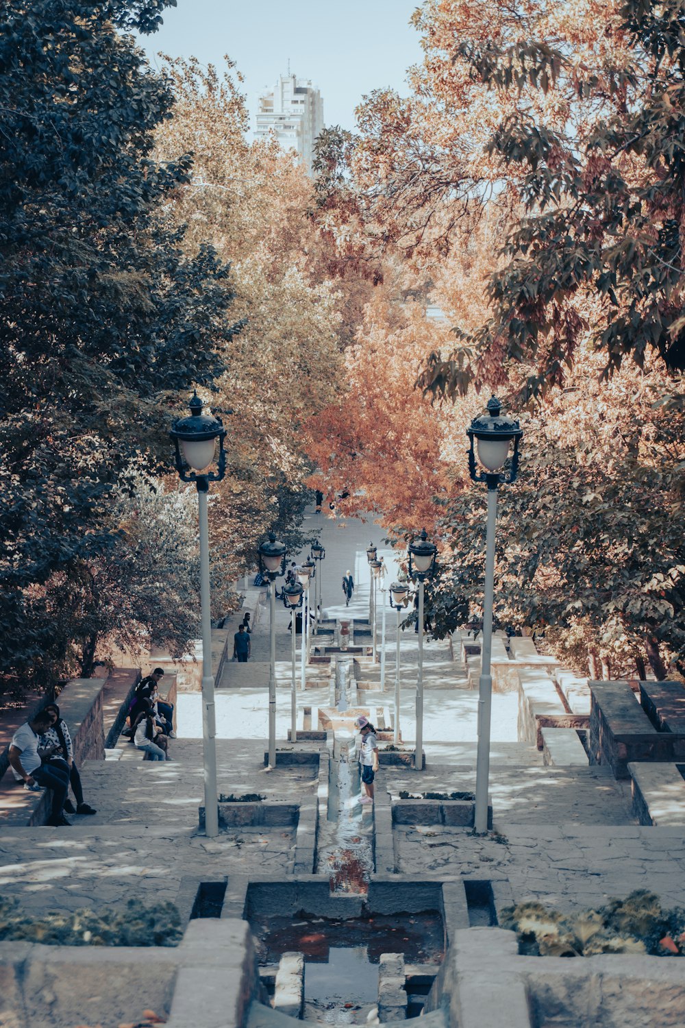 a park filled with lots of trees and people sitting on benches