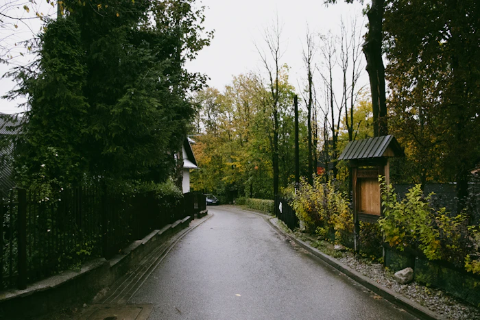 Hidden Cafes