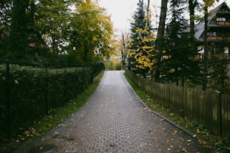 Pathway lined with wooden fences leading to a quiet residential area.
