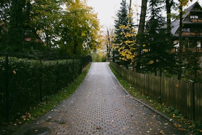Pathway lined with wooden fences leading to a quiet residential area.