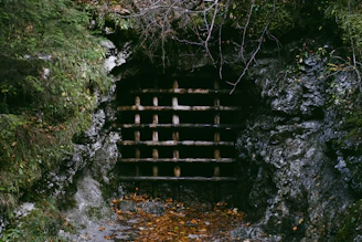 A sturdy underground shelter entrance surrounded by lush greenery.