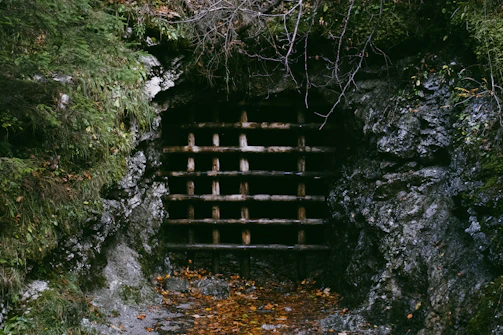 A sturdy underground shelter entrance surrounded by lush greenery.