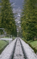 a train track running through a lush green forest