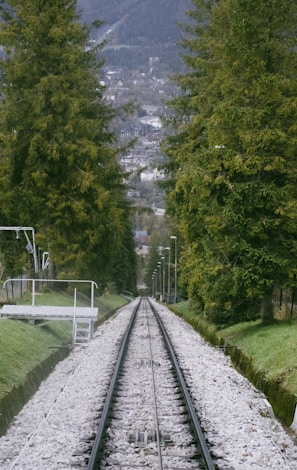 a train track running through a lush green forest