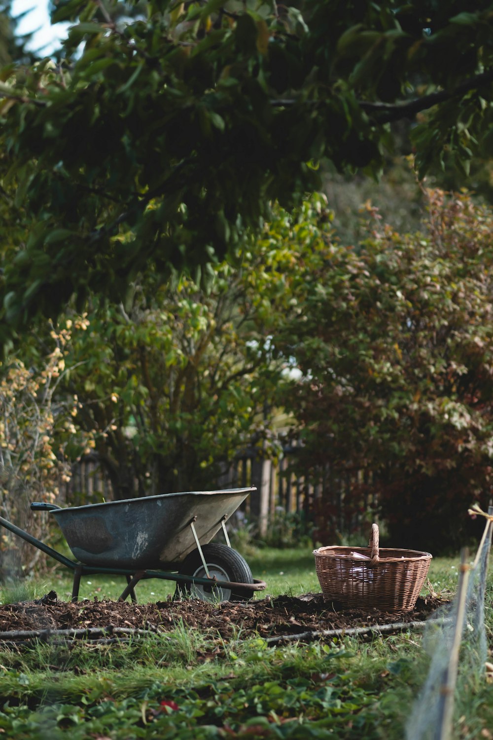 a wheelbarrow and a wheelbarrow in a garden