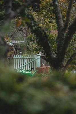 A wooden fence with a light green gate surrounded by lush greenery. A green watering can and a woven basket are placed on the ground nearby. The scene is framed by blurry branches in the foreground, suggesting the photo was taken in a garden setting.
