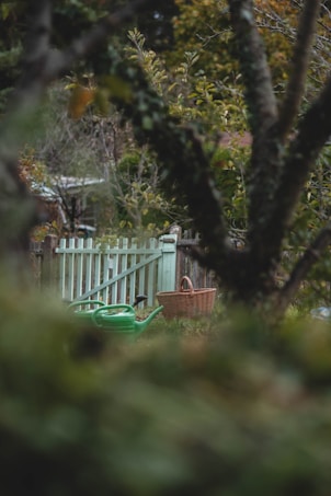 A wooden fence with a light green gate surrounded by lush greenery. A green watering can and a woven basket are placed on the ground nearby. The scene is framed by blurry branches in the foreground, suggesting the photo was taken in a garden setting.