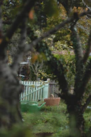 A peaceful backyard garden scene with blooming flowers and a watering can resting nearby.