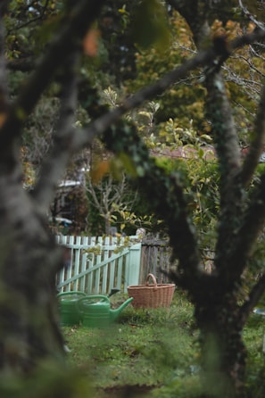 A vibrant green garden with freshly trimmed bushes and a watering can resting nearby.