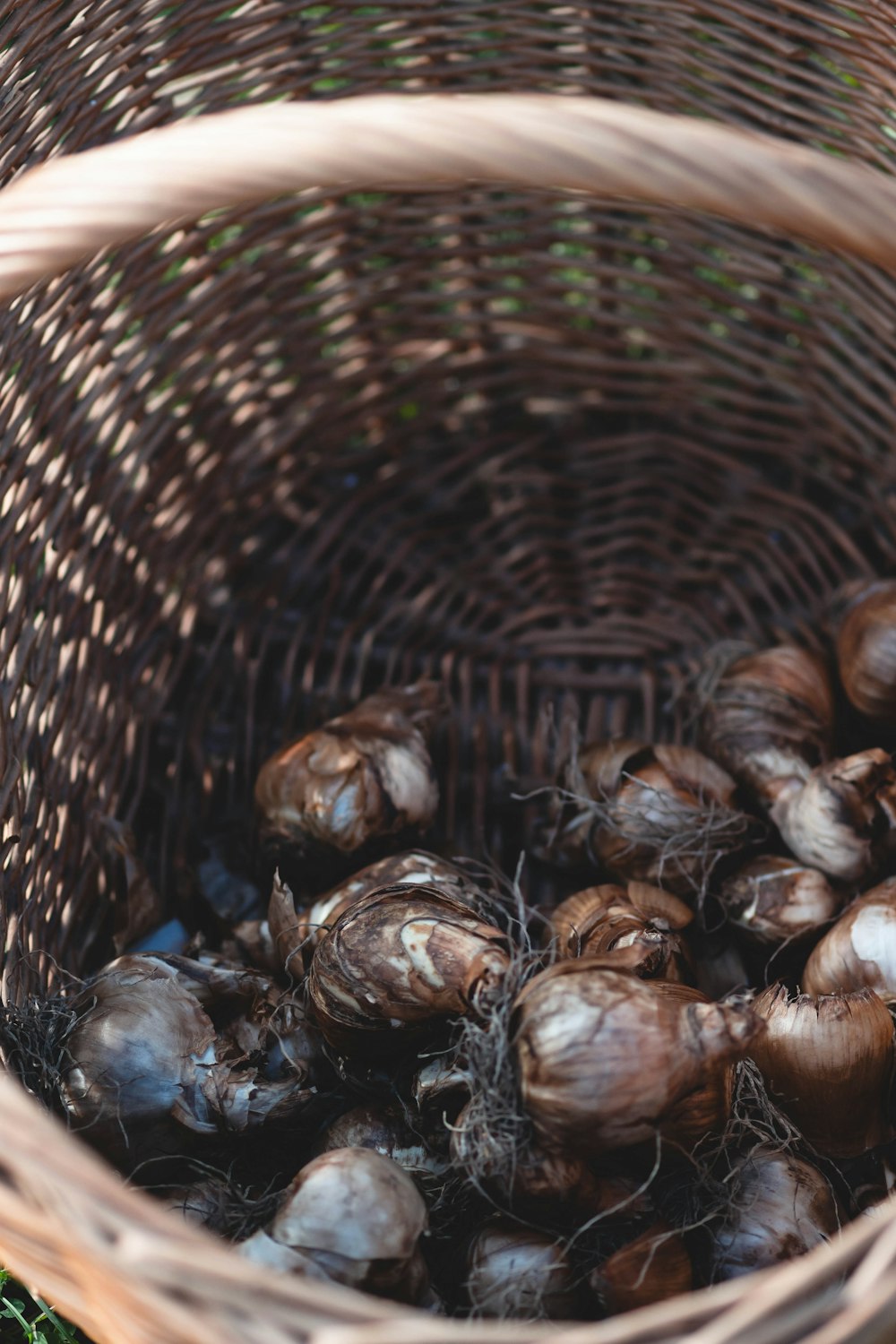 a basket full of onions sitting on the ground