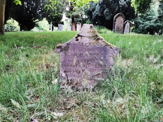A weathered and moss-covered gravestone stands in a cemetery, surrounded by green grass and tall trees. The stone has faded inscriptions and shows signs of age, with other gravestones visible in the background, suggesting a tranquil outdoor setting.