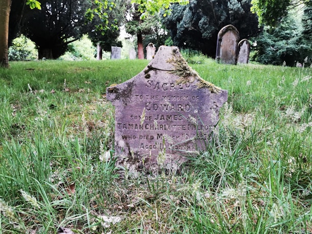 A weathered and moss-covered gravestone stands in a cemetery, surrounded by green grass and tall trees. The stone has faded inscriptions and shows signs of age, with other gravestones visible in the background, suggesting a tranquil outdoor setting.